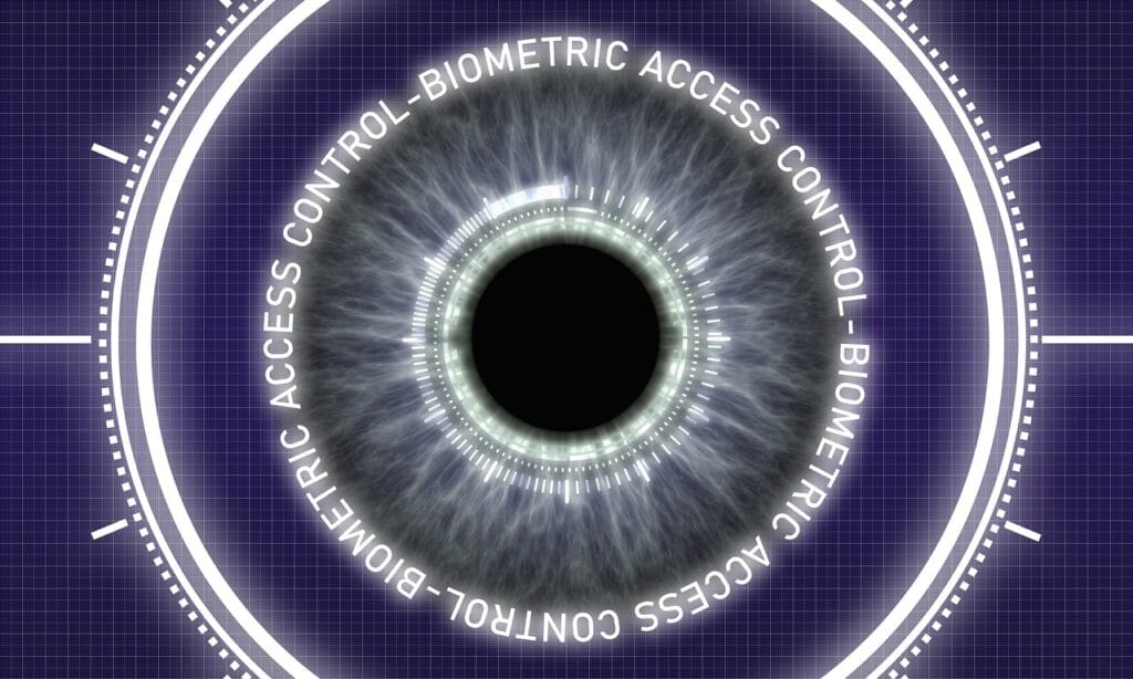 Usos de la identificación biométrica