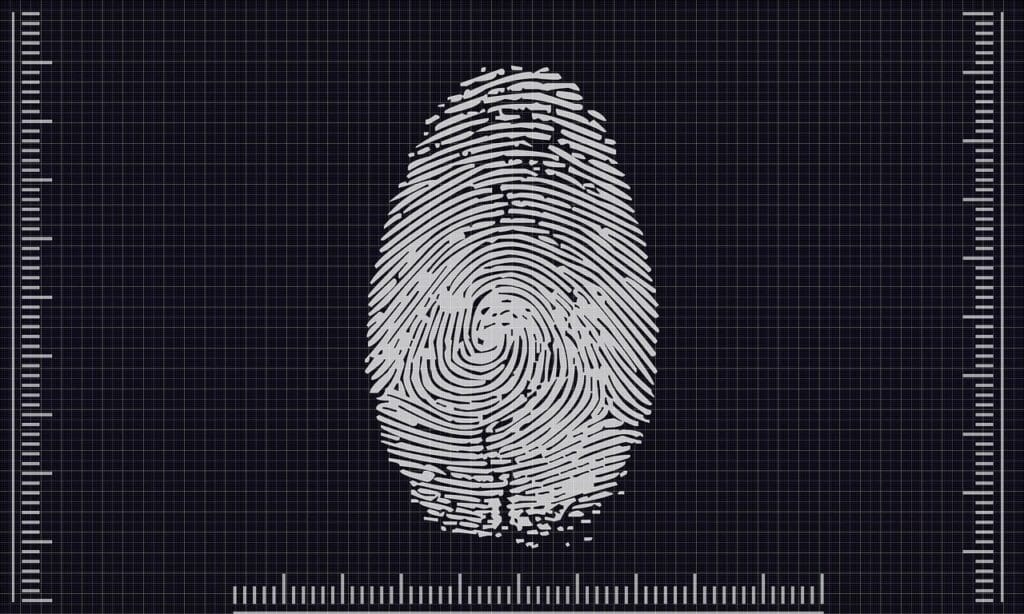Identificación biométrica basada en el comportamiento